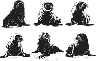 Six Seal Silhouettes vector