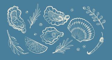 Oysters.Oyster Shell Set. Hand-drawn oysters, lemon slices, herbs, and salt. Ink sketch isolated on blue background. For seafood menus, packaging, and culinary illustrations.Retro style. vector