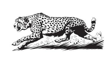 running Cheetah hand-drawn with ink on white background logo vector
