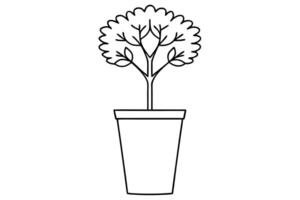A Simple line art of a bonsai tree in a pot. vector