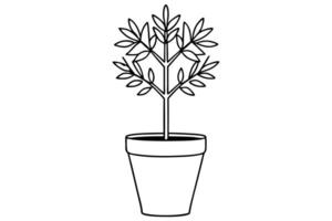 Line art of a bonsai tree in a pot. vector
