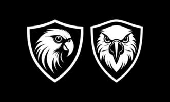 Parrot angry in shield vector