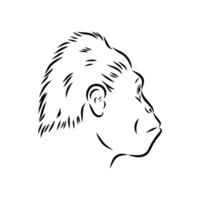 Australopithecus black and white sketch vector