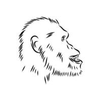 Australopithecus head drawing vector
