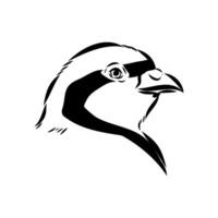 stone partridge bird keklik sketch vector