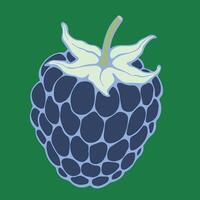 A simple and modern blackberry icon, perfect for web design, mobile apps, and healthy food branding. vector
