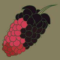 A delightful hand drawn boysenberry illustration with a touch of realism. Perfect for food packaging, organic branding and digital art projectsAvailable in EPS format vector
