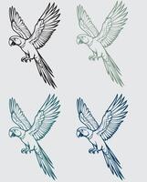 Elegant and detailed macaw parrot drawing, ideal for t-shirts, merchandise, and digital design projects. vector
