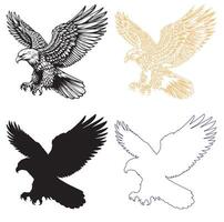 Premium eagle design set featuring different artistic styles vector