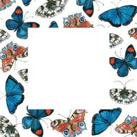 Butterflies, different types, blue, blue, Peacock eye, Morpho, all objects are hand painted with watercolor, watercolor frame of butterflies. For printing on fabric, paper, for invitations, cards vector