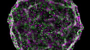 A brain with green and purple dots video