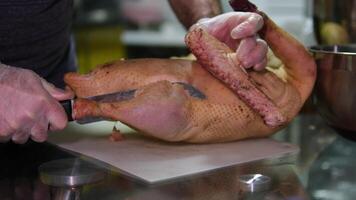 butcher a goose process of cutting up a goose Step by step getting the liver and navel out of the carcass of a tasty duck men's hands in gloves cutting up the catch cooking dinner recipe video