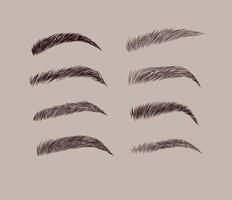 Eyebrows collection set in different shape form drawing with black on beige background vector