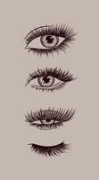 Eyes and eyelash collection drawing in graphic art style on beige background vector