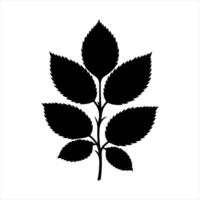 black silhouette of a leaf on a white background vector