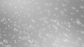 white color multiple glowing bubble particles moving upwards modern design fluid background video