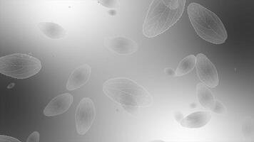 white color multiple moving leafs upwards gradient design floral background video
