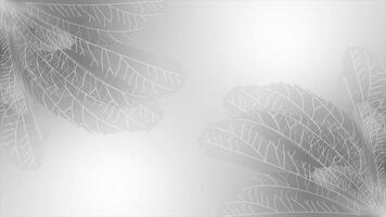 white multiple moving leafs gradient design loop able floral background video