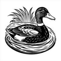 Duck Floating A Pond vector