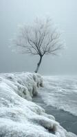 A solitary tree with a frosted appearance rises from a snow-covered bank, overlooking gentle waves. The misty atmosphere creates a tranquil winter setting, enhancing the serene beauty of the scene photo