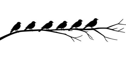 A group of birds sitting on a branch with a white background. vector