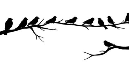 Birds on a branch silhouette illustration with a background. vector