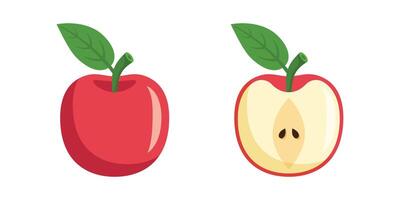 Red apple and half apple illustration vector