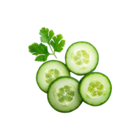 Cucumber slices with coriander leaf isolated on transparent background png