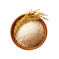 Top view of rice bowl with rice plant bunch on transparent background png