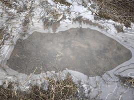 Melting ice fragmenting across dry grass, revealing ground's transition during early spring landscape photo