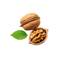 Fresh whole and sliced walnut with leaf isolated on transparent background png