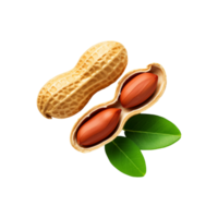 Whole and sliced peanut with leaf isolated on transparent background png