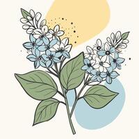 Blue and white lilac flowers with green leaves and abstract background vector