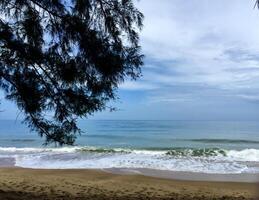 A beach with waves and trees on the shore photo