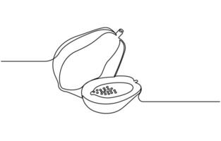 fruit single line art vector