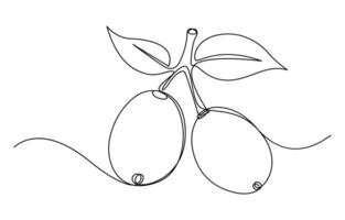 Continuous one line line art Jamun Fruit vector