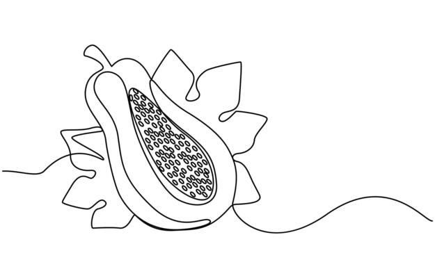 papaya one line art