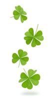 Four leaf clovers falling down on white background. Green shamrocks floating in mid-air, symbolizing luck and prosperity. Fresh shamrock leaves scattered dynamically on a clean white background photo