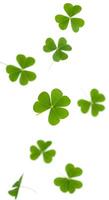 Clover leaves in motion, creating a dynamic and lively composition. Falling shamrocks symbolizing Irish traditions and positive energy photo
