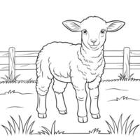 Sheep sketch style, hand drawn illustration. Side view. Farm animal retro engraved style vector