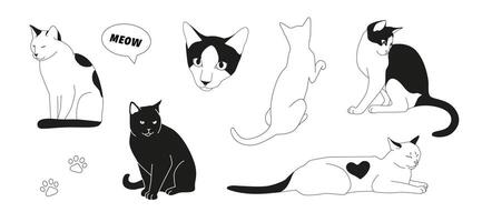 Cats set in minimalist style. Black and white stylish feline illustration for design. Cute pets modern drawing for web or print. Sitting cat vector