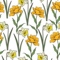 Seamless Pattern With Painted Colorful Flowers Tulips And Daffodils On White Background vector
