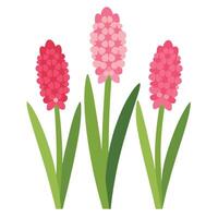 Three pink flowers on a white background vector