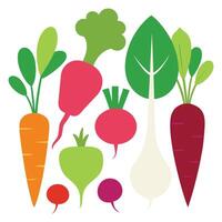 fresh vegetables design on a white background vector