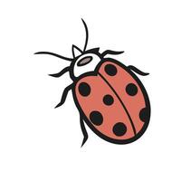 A ladybug with black spots on its back design on a white background vector