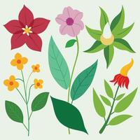 A set of different flowers and leaves design on a white background vector