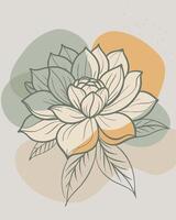 Abstract floral illustration for business use with outlined flower and organic shapes vector