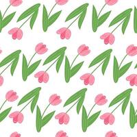 Seamless pattern with pink tulips on white background vector