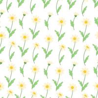 Seamless Pattern of White Daisies with Green Leaves on a White Background vector