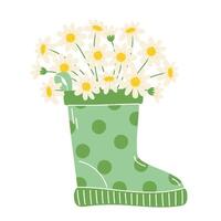 Bouquet of white daisies in a green rubber boot for spring rain vector